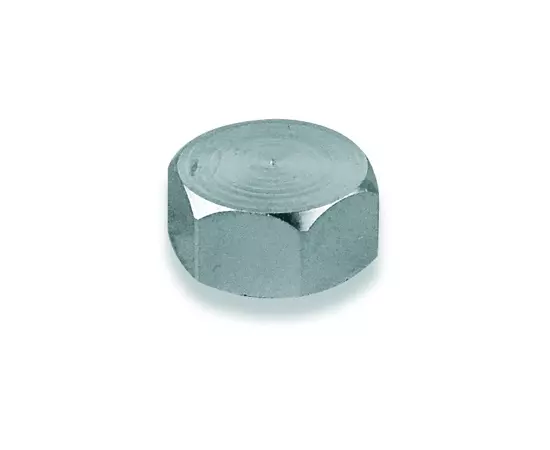 Usystems: ЗАГЛУШКА ВР для коллектора SH Usystems, Типоразмер коллекторов и коллекторных шафов: Выберите типоразмер, Резьба: ВР Европейское качество